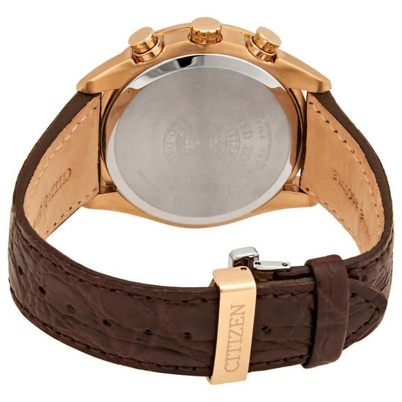 New Citizen Perpetual Radio Controlled Watch w/ box - Picture 3 of 3